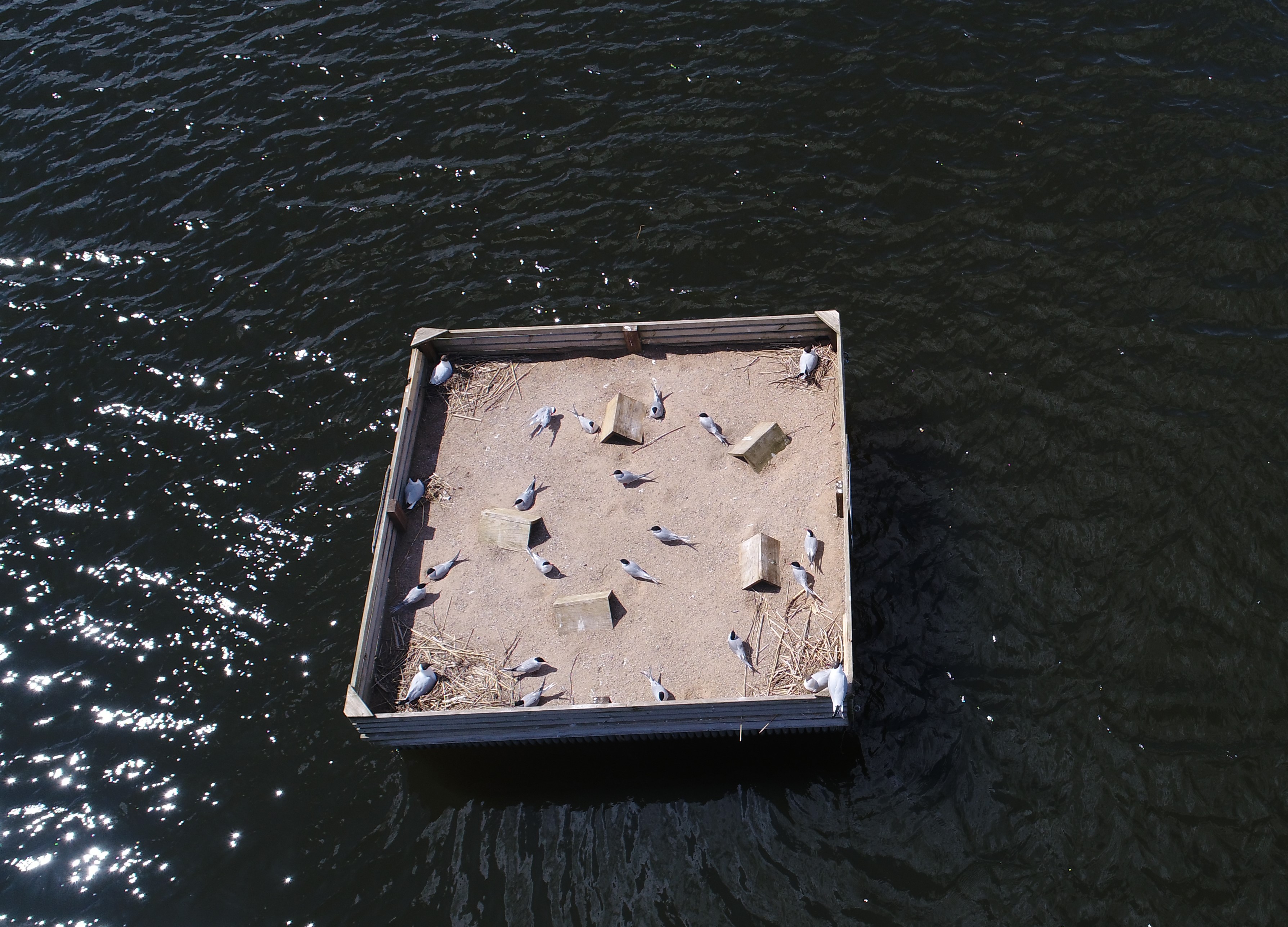 DJI_0363
